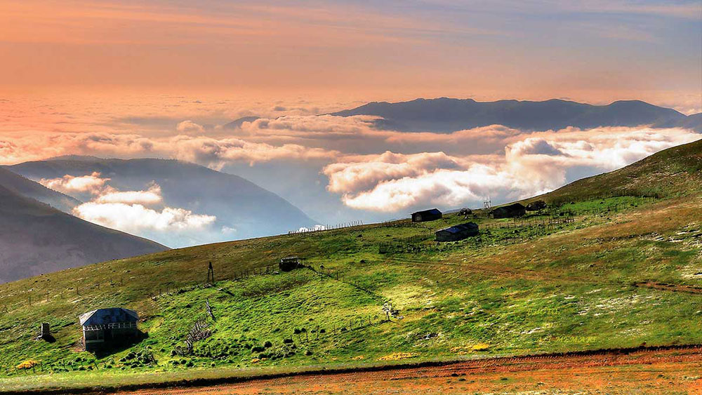 مقایسه قیمت تور‌های مرداد ۱۴۰۱ + جدول قیمت