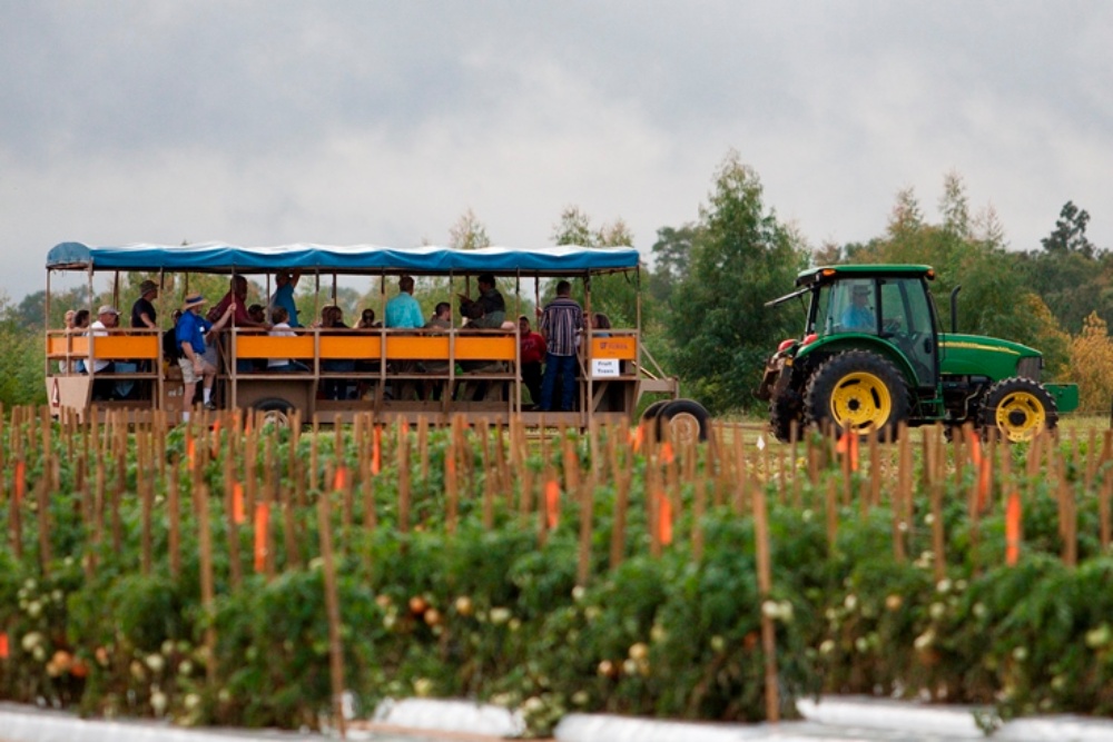 بهترین مزارع گردشگری ایران را بشناسید | عکس + لوکیشن