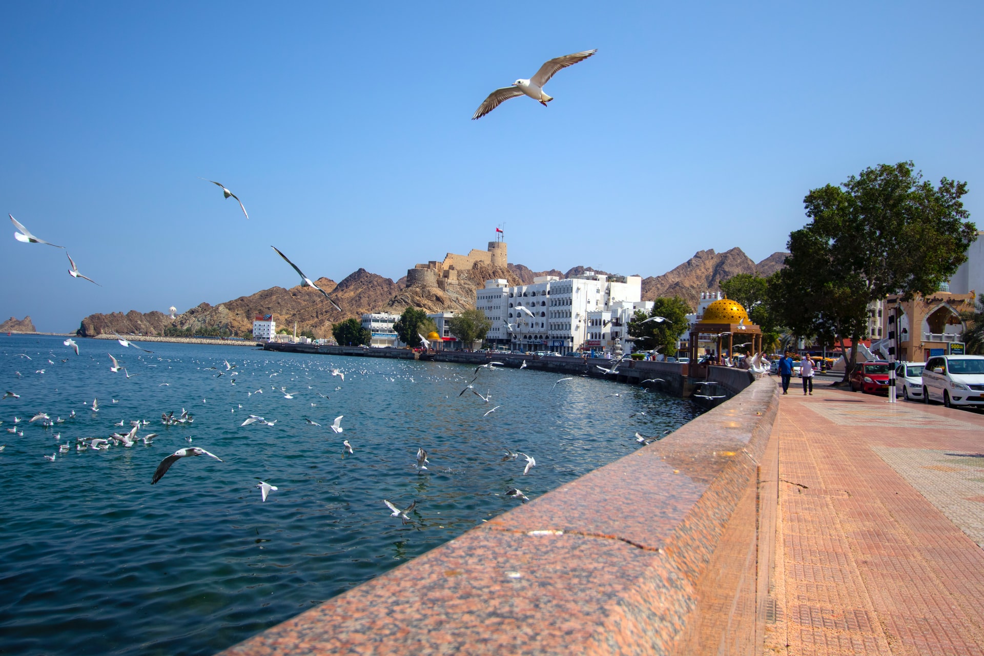 راهنمای جامع سفر به عمان