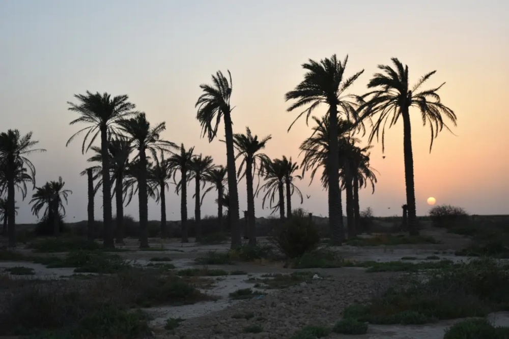 بندر ماهشهر