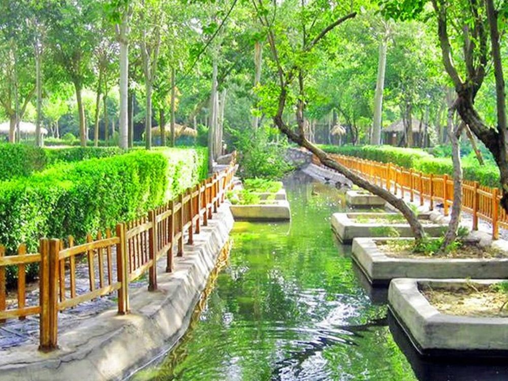 مشهد کجا بریم؟