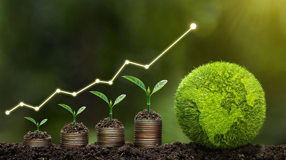 انواع سرمایه گذاری سبز