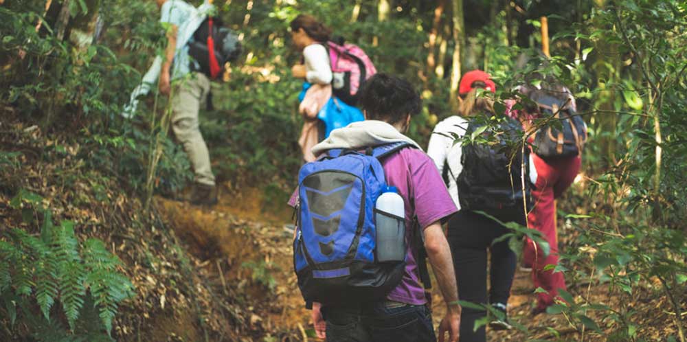 لوازم طبیعت گردی 