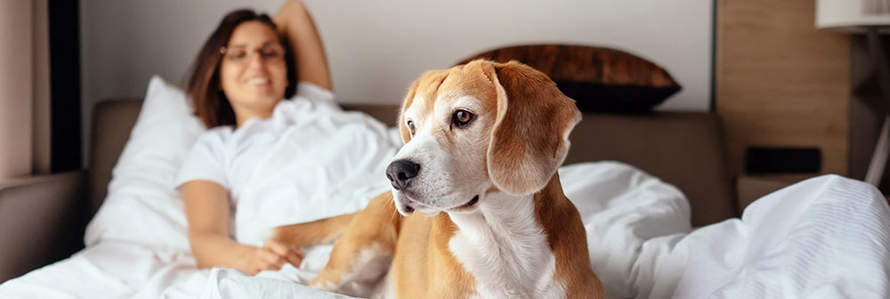 استراتژی‌ های بازاریابی هتل برای افزایش فروش