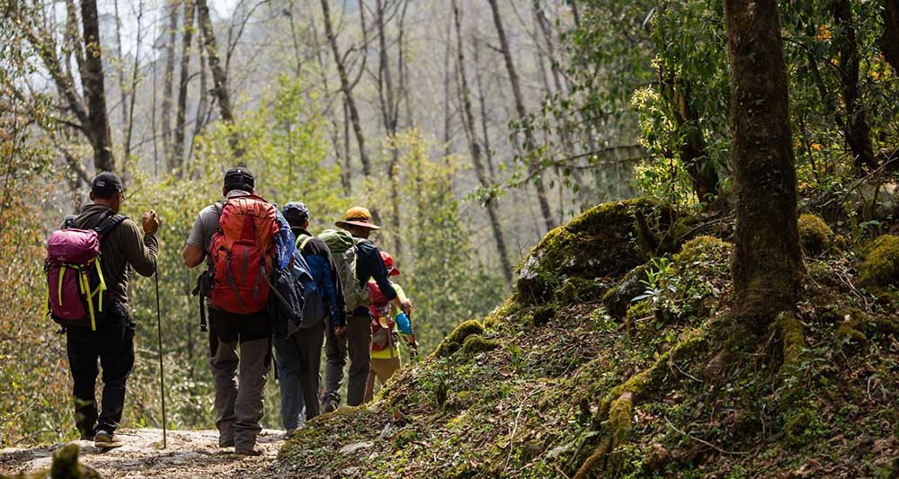 گردشگری مسئولانه و نقش آژانس های طبیعت گردی