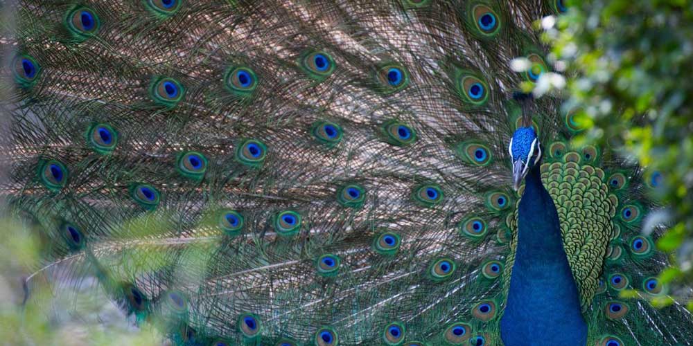 تکنیک های عکاسی در طبیعت