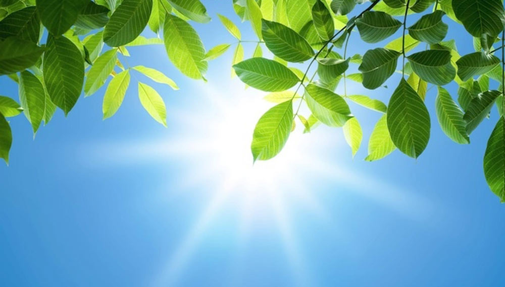 تکنیک های عکاسی در طبیعت